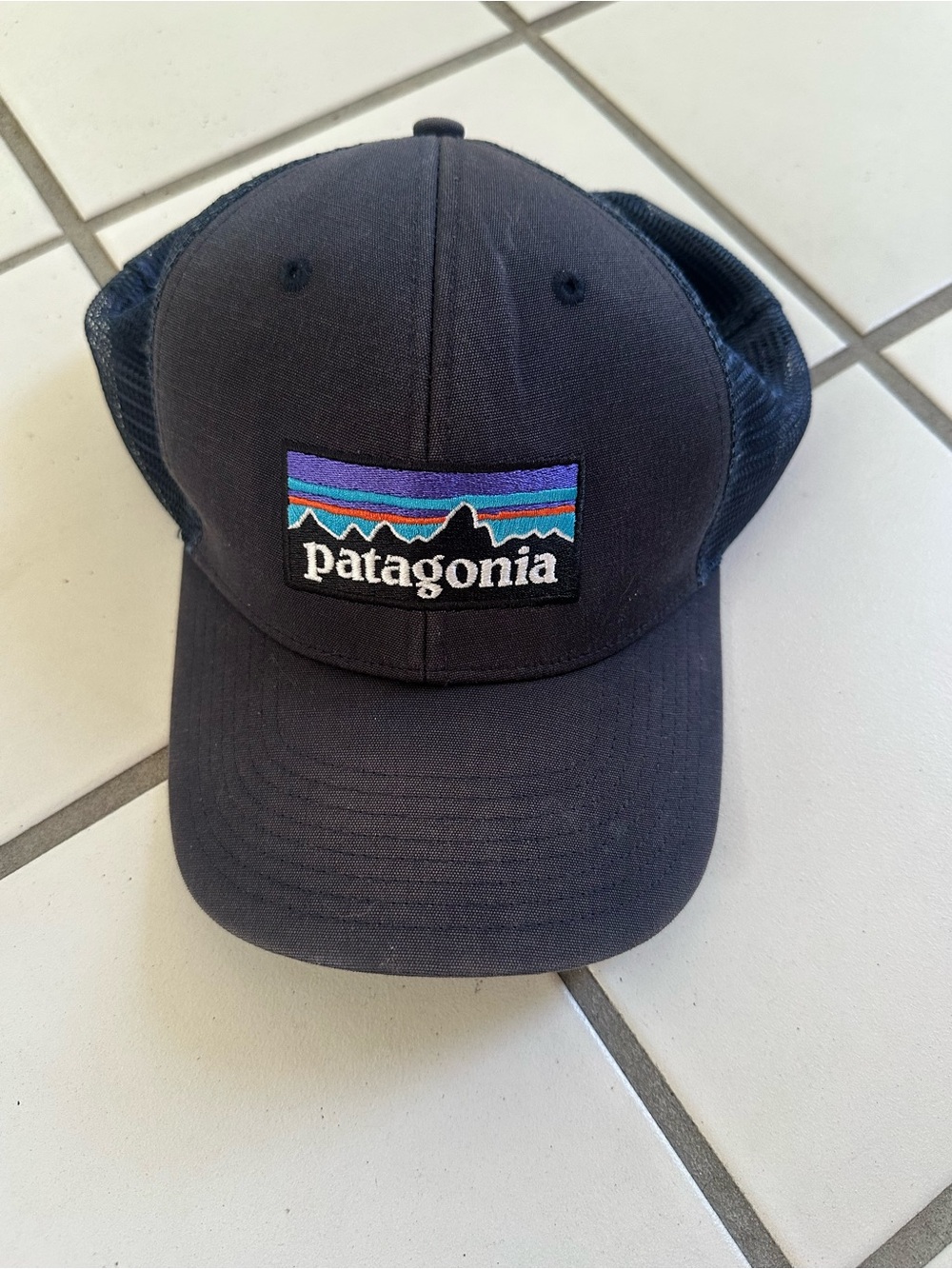 Patagonia Blue Cap with Purple and Teal Logo